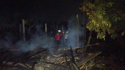 Kandang Peternakan Ayam di Rejotangan Tulungagung Terbakar, Diduga Dipicu Korsleting Listrik, 5.000 Ekor Ayam Mati
