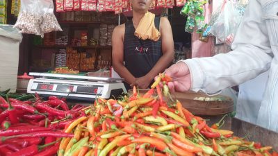 PAD Sektor Pasar Tulungagung 2025 Tembus Rp 5,3 Miliar, Pasar Ngemplak Tertinggi, Mulyosari Terendah