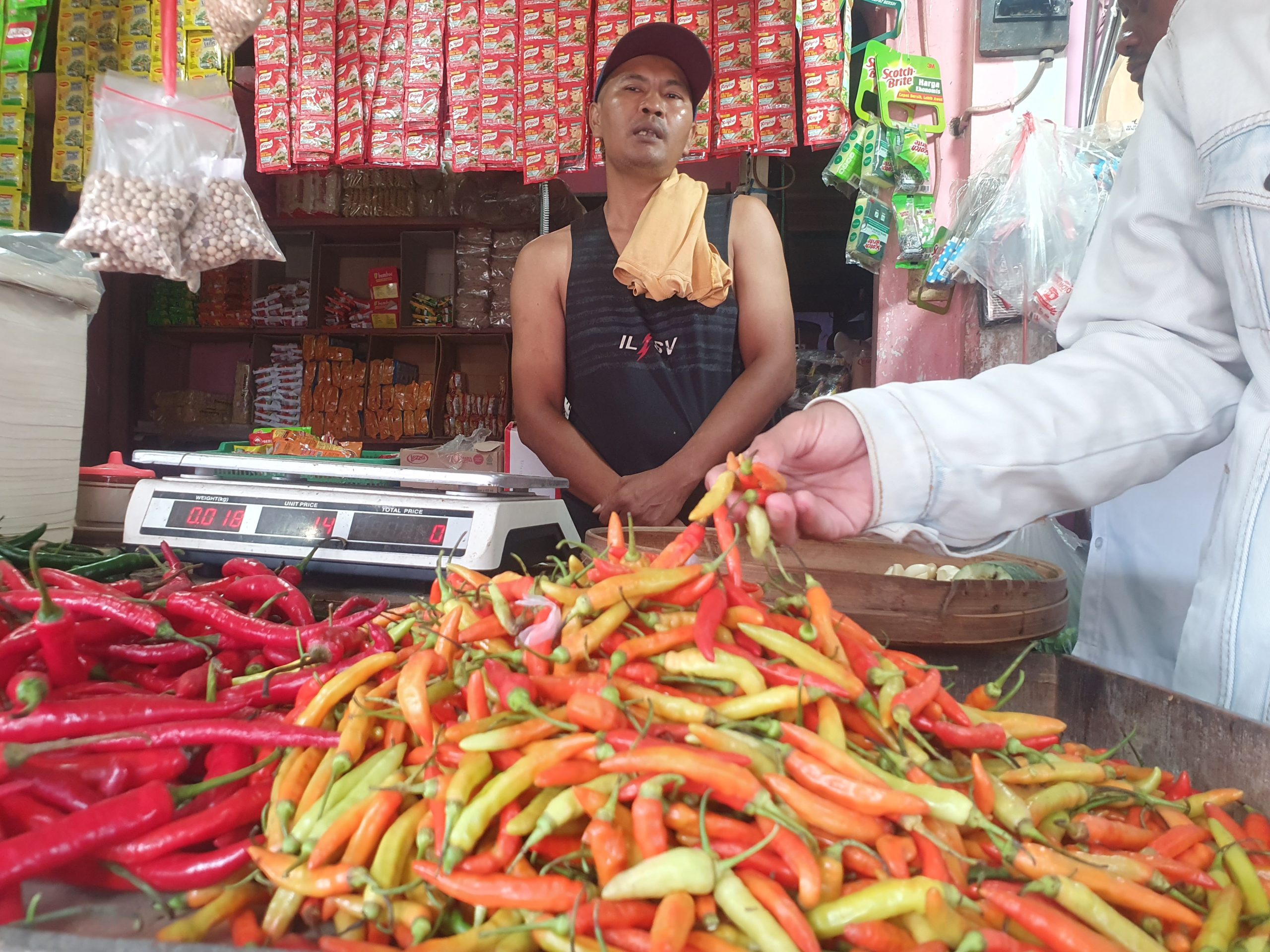 PAD Sektor Pasar Tulungagung 2025 Tembus Rp 5,3 Miliar, Pasar Ngemplak Tertinggi, Mulyosari Terendah