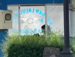 Viral di Media Sosial, Pos Polisi Simpang Empat Kemuning Tulungagung Jadi Tempat Mesum, Satlantas Lakukan Penelusuran