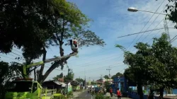 DLH Kabupaten Kediri Intensifkan Perantingan Pohon di Awal 2026