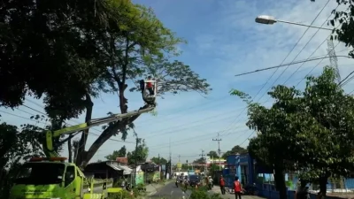 DLH Kabupaten Kediri Intensifkan Perantingan Pohon di Awal 2026