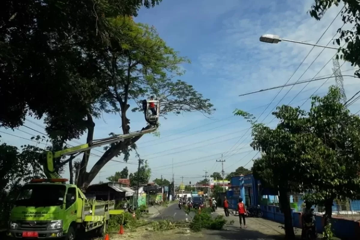DLH Kabupaten Kediri Intensifkan Perantingan Pohon di Awal 2026