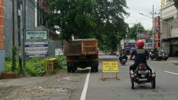 Hadapi Puncak Cuaca Ekstrem, DLH Kabupaten Kediri Petakan Jalur Pohon Rawan Tumbang