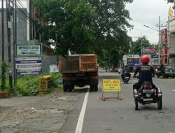 Hadapi Puncak Cuaca Ekstrem, DLH Kabupaten Kediri Petakan Jalur Pohon Rawan Tumbang