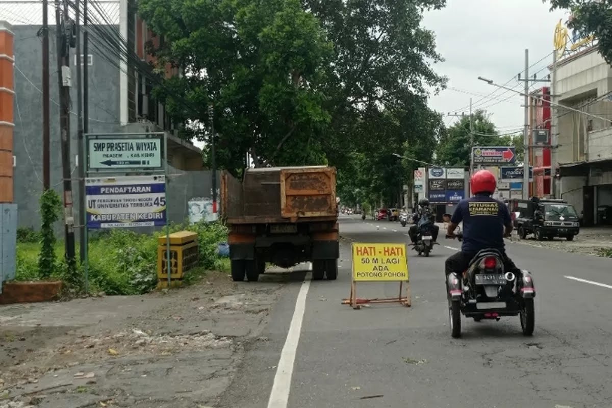 Hadapi Puncak Cuaca Ekstrem, DLH Kabupaten Kediri Petakan Jalur Pohon Rawan Tumbang
