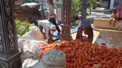 Cuaca Ekstrem Awal 2026 Tak Pengaruhi Harga, Jagung di Kediri Tembus Rp 6.200 per Kilogram