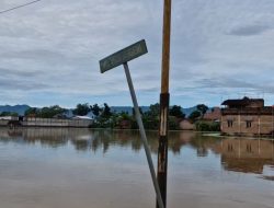 Banjir Rendam Ratusan Hektare Sawah di Ponorogo, Gagal Panen Tak Terhindarkan