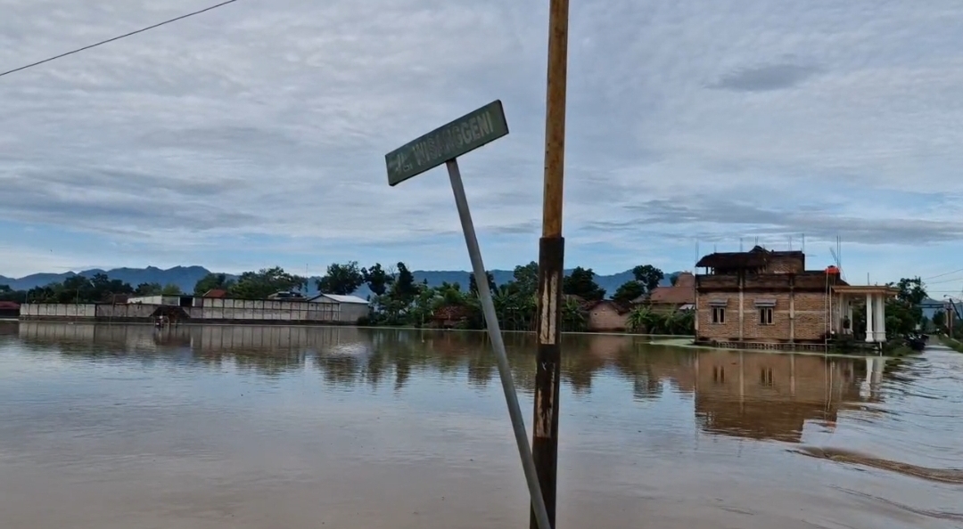 Banjir Rendam Ratusan Hektare Sawah di Ponorogo, Gagal Panen Tak Terhindarkan