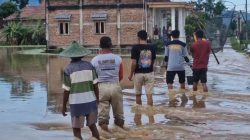 Hujan Lebat Rendam Sawah di Balong Ponorogo, 30 Hektare Padi Terancam Puso