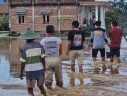 Hujan Lebat Rendam Sawah di Balong Ponorogo, 30 Hektare Padi Terancam Puso
