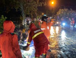 Hujan Lebat Berjam-jam di Tulungagung, Banyak Pohon di Empat Lokasi Tumbang
