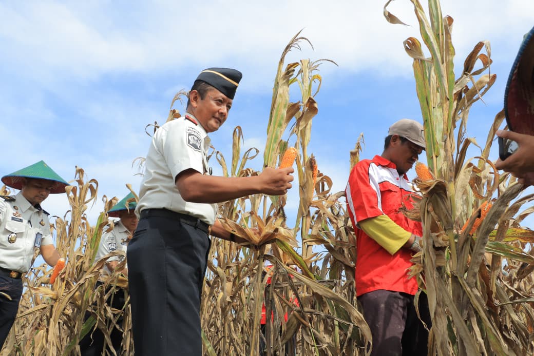 Aksi Kemanusiaan Lapas Blitar, Hasil Panen Jagung dan Terong Warga Binaan Disalurkan untuk Korban Bencana di Sumatera