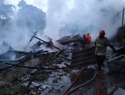 Tiga Kandang Ayam di Kota Batu Terbakar, 15 Ribu Ekor Hangus, Kerugian Ditaksir Rp1 Miliar