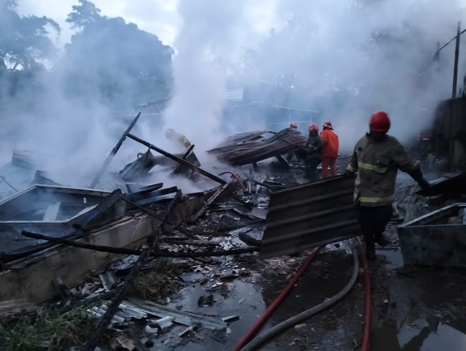 Tiga Kandang Ayam di Kota Batu Terbakar, 15 Ribu Ekor Hangus — Kerugian Ditaksir Rp1 Miliar