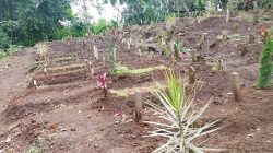 Perusakan Puluhan Makam di TPU Cembo Giripurno, Kasun Sumber Sari Sesalkan Pelaku Tak Minta Maaf