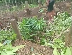 Viral Perusakan Makam di TPU Cembo Giripurno, Warga Kota Batu Resah