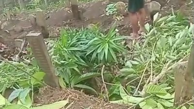 Viral Perusakan Makam di TPU Cembo Giripurno, Warga Kota Batu Resah