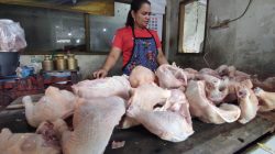 Megengan Picu Lonjakan Harga, Ayam Pedaging di Blitar Tembus Rp42 Ribu per Kilogram