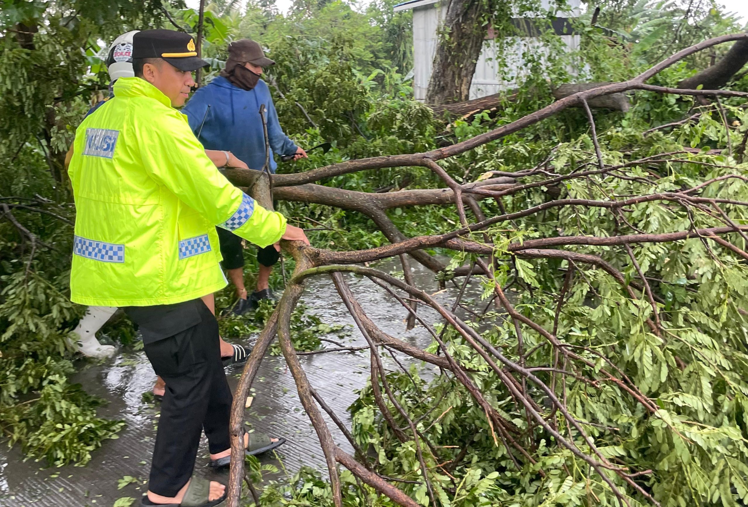 Cuaca Buruk Terjang Lamongan, Pohon Tumbang Tutup Jalan dan Sejumlah Rumah Rusak