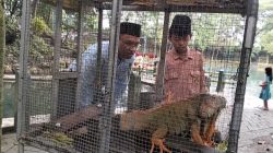 Sumber Jiput Jadi Ruang Belajar Alam Terbuka, Sekaligus Destinasi Wisata Keluarga