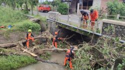BPBD Kota Kediri Evakuasi Tumpukan Pohon Tumbang di Jembatan Ngampel, Aliran Sungai Kembali Normal