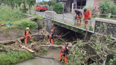 BPBD Kota Kediri Evakuasi Tumpukan Pohon Tumbang di Jembatan Ngampel, Aliran Sungai Kembali Normal