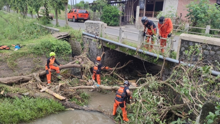 BPBD Kota Kediri Evakuasi Tumpukan Pohon Tumbang di Jembatan Ngampel, Aliran Sungai Kembali Normal