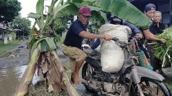 Protes Jalan Rusak Tak Kunjung Diperbaiki, Warga Tanjunganom Tanami Pisang di Tengah Jalan