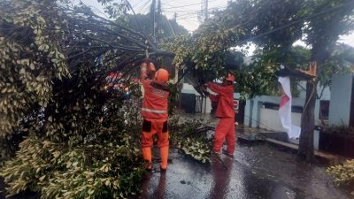 Hujan Ekstrem dan Angin Kencang Terjang Kota Kediri, Sejumlah Pohon Tumbang Timpa Rumah serta Jaringan Listrik