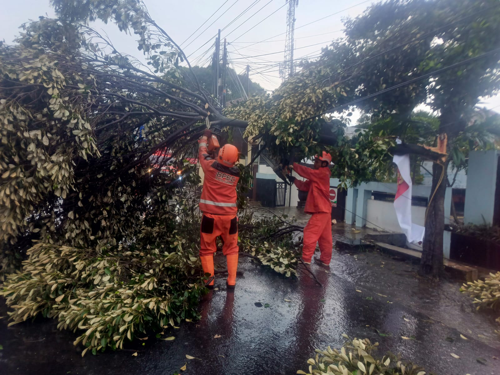 Hujan Ekstrem dan Angin Kencang Terjang Kota Kediri, Sejumlah Pohon Tumbang Timpa Rumah serta Jaringan Listrik