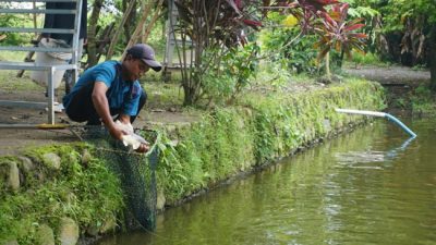 Ramadan di Ponpes Attahdzib, 52 Kitab Tuntas Dikaji, Santri Juga Kelola Budidaya Ikan