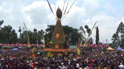 Produksi Durian Turun Akibat Cuaca, Kenduri Durian Wonosalam 2026 Resmi Dibatalkan