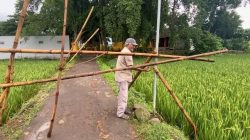 Akses ke Situs Sumberbeji Ditutup Pemilik Lahan, Tuntut Kepastian Kompensasi