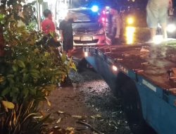 Diguyur Hujan Lebat, Pohon di Badas Kediri Tumbang, Timpa Sebuah Mobil