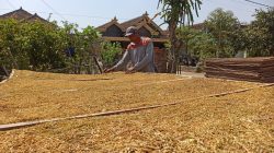 DBHCHT Ponorogo Anjlok Lebih dari Separuh, Ini Rincian Alokasinya