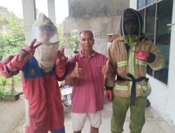 Sarang Tawon Vespa Mengancam Warga, Damkar Kabupaten Kediri Lakukan Evakuasi