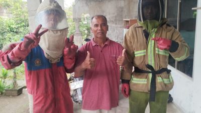 Sarang Tawon Vespa Mengancam Warga, Damkar Kediri Lakukan Evakuasi