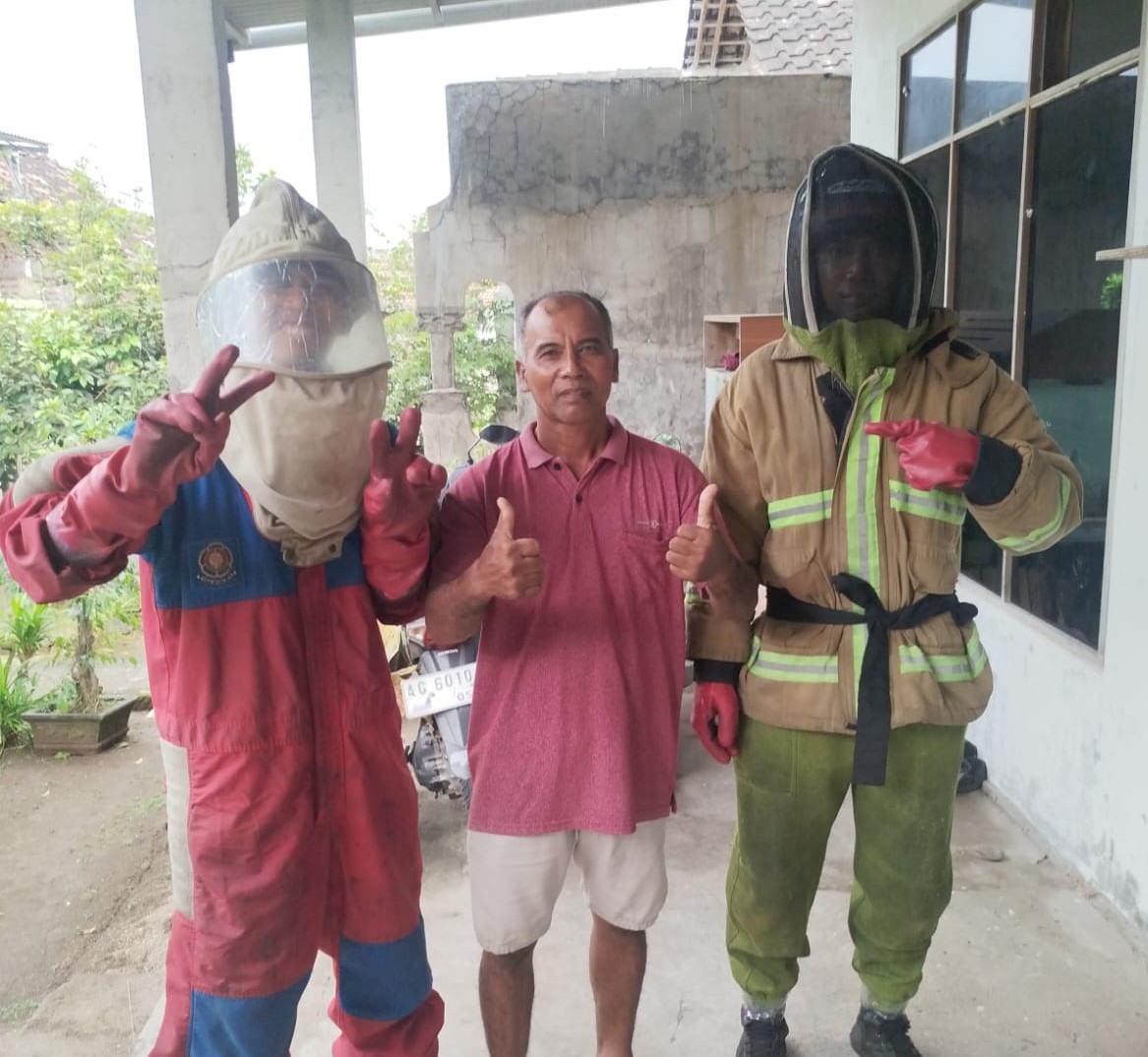 Sarang Tawon Vespa Mengancam Warga, Damkar Kediri Lakukan Evakuasi
