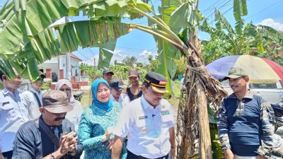 Sehari Pasca Sidak Bupati, Jalan Rusak di Kebun Pisang Tanjunganom Mulai Ditangani
