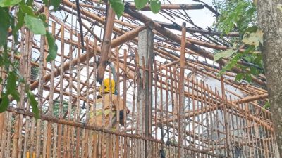 Diduga Korsleting, Kandang Ayam Ludes Terbakar