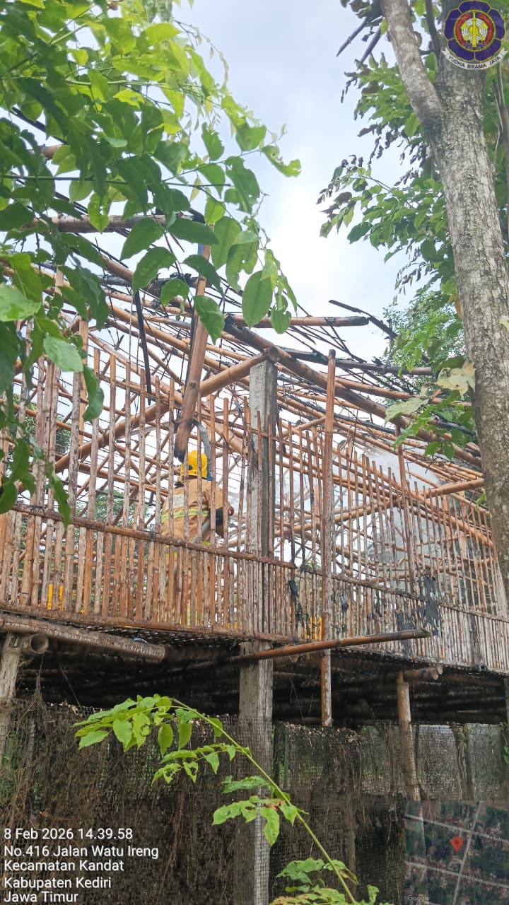 Diduga Korsleting, Kandang Ayam Ludes Terbakar