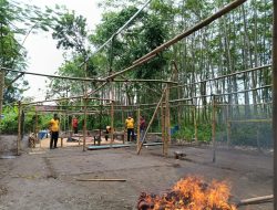 Digerebek Polisi, Pelaku Judi Sabung Ayam di Mangunrejo Kabur ke Sawah
