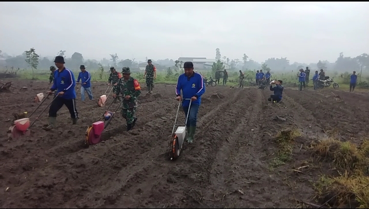 TMMD ke-127 Dorong Ketahanan Pangan, Pemkab Kediri dan TNI Tanam Jagung di Desa Gadungan