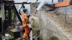 Diduga Korsleting Blower, Kandang Ayam di Kanigoro Hangus Terbakar, Kerugian Capai Rp 200 Juta