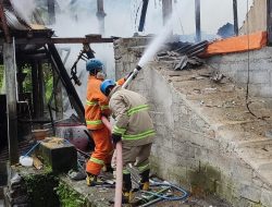 Diduga Korsleting Blower, Kandang Ayam di Kanigoro Hangus Terbakar, Kerugian Capai Rp 200 Juta