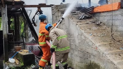 Diduga Korsleting Blower, Kandang Ayam di Kanigoro Hangus Terbakar, Kerugian Capai Rp 200 Juta