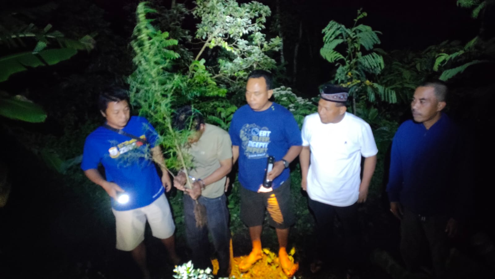 Tanam Ganja di Dalam Pot, Dua Warga Plosoklaten Ditangkap Polisi