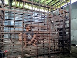 Ribuan ODGJ Berat Tercatat di Ponorogo Sepanjang 2025, Dua Masih Dipasung