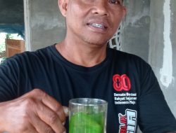 Kreasi Minuman Daun Kayu Putih, Sajian Penghangat Tubuh dari Warga Puncu